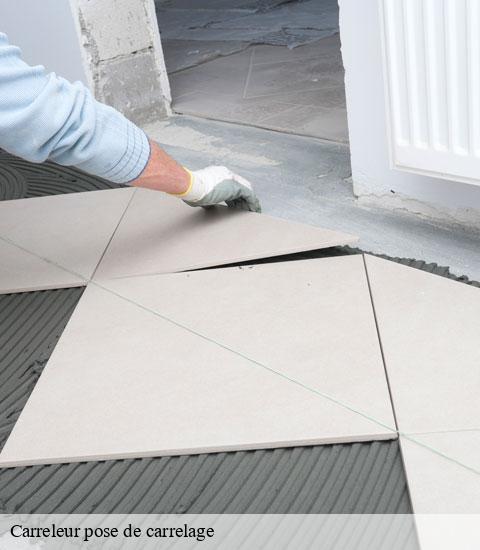 Carreleur pose de carrelage  95500